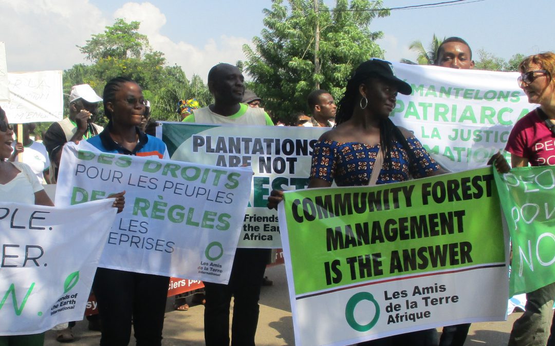 FoEA Resolution on Industrial Plantation Companies and Protection of Indigenous Peoples and Local Communities Against Human and Environmental Rights Violations in Africa.